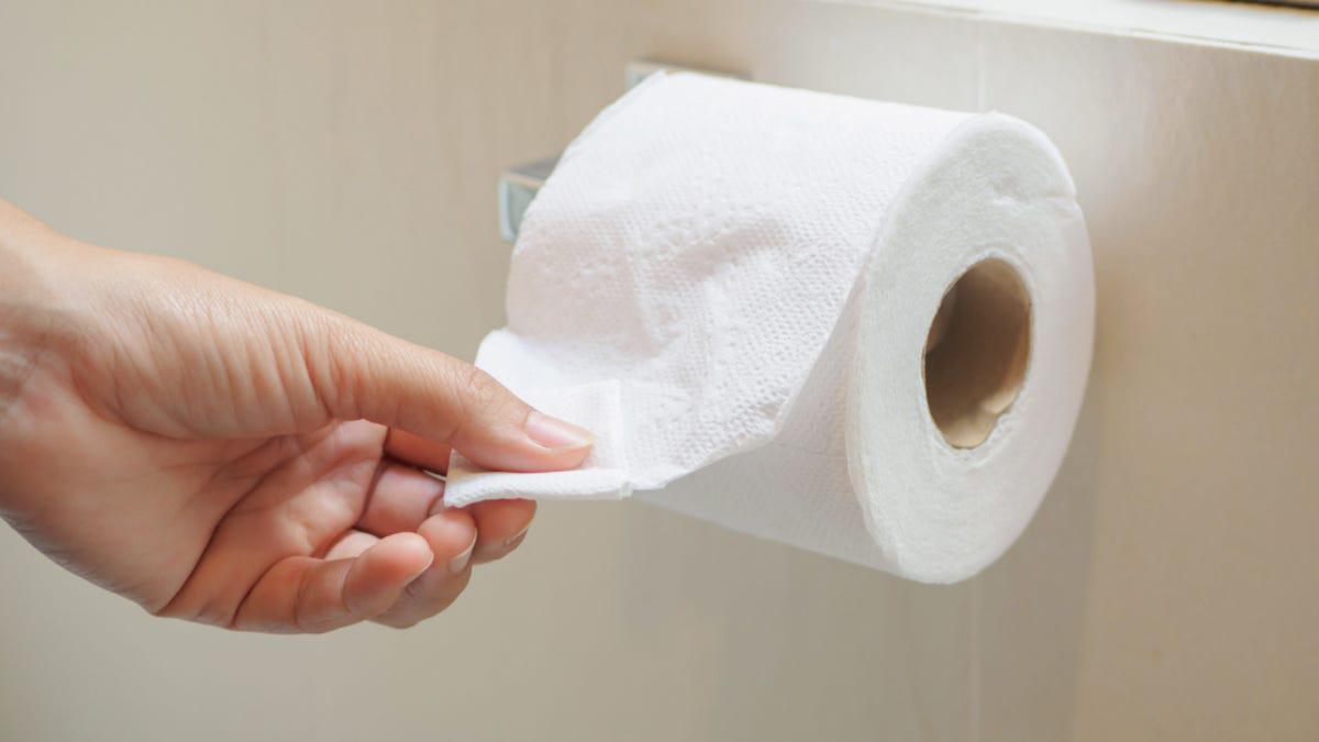 Where Can I Buy Toilet Paper Near Me at Thomas McCarty blog